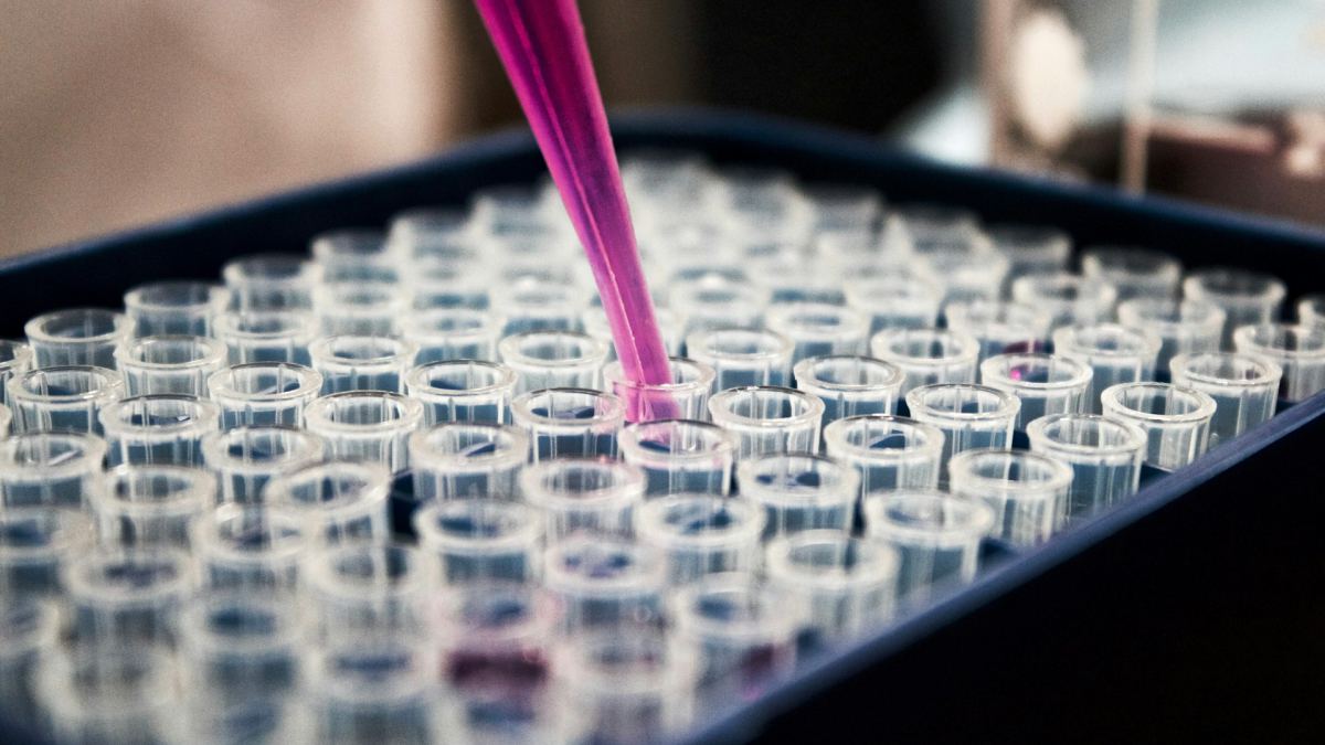 Insecticide formulation and quality testing in a laboratory