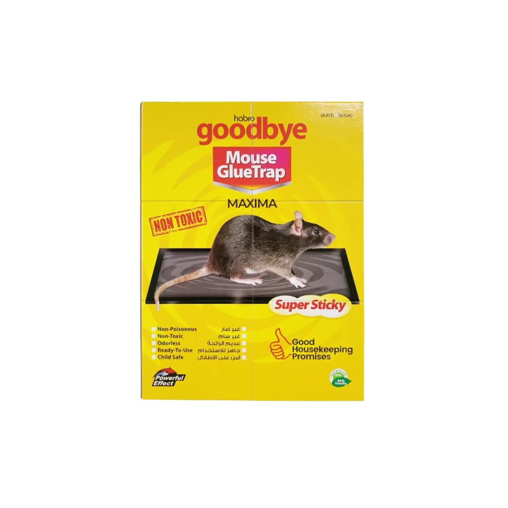 Goodbye Mouse Glue Trap Maxima — available for distribution across India